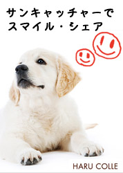 ¥µ¥ó¥¥ã¥Ã¥Á¥ã¡¼¤Ç¥¹¥Þ¥¤¥ë¥·¥§¥¢